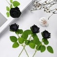thumbnail image 2 of 14PCS Black and White Artificial Roses Flowers,Black and White Fake Roses Bouquet Faux Silk Black and White Flowers for Halloween Party Home Decor (Black and White Rose), 2 of 5