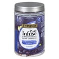 thumbnail image 1 of Twinings Cold Water Infusions, Blueberry & Apple Infuser Bags, 12 Bag Canister, 1 of 4