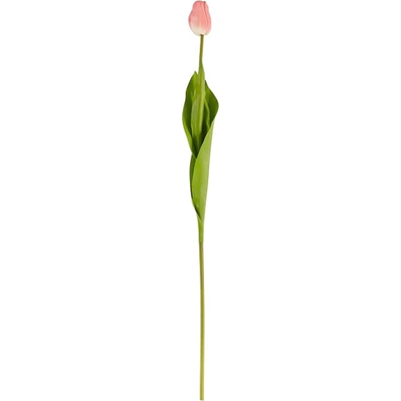 Tulip Stem Floral Accent (Set of 12)