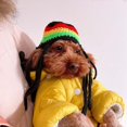 thumbnail image 2 of Sombrero de lana con rastas a la moda para mascotas de Halloween, bonito, novedad, decoración divertida, disfraz de fiesta, accesorios divertidos de ropa para gatos, gatitos pequeños Feliz Sencillez, 2 of 5