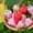 Random-6PCS, variant on Dalrosia 12PCS Easter Fabric Strawberr Vase Fillers Rustic Farmhouse Decor Farmhouse Basket Bowl Fillers Tiered Trays for Easter Home Wedding