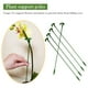 thumbnail image 1 of Fibra de vidrio soporte de flores de estilo para macetas Pole de soporte de planta de planta de planta de planta de planta de vástago para plantas para macetas para plantas de flores, 1 of 8