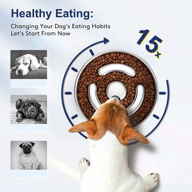 EastVita Pet Slow Feeder Dog Bowl Non Slip Stainless Steel Food