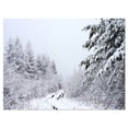 thumbnail image 2 of Sentier Forestier Givré en Automne - Impression d'Art Photo de Paysage sur Toile, 2 of 3