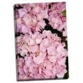 thumbnail image 2 of Gango Home Decor Hydrangeas III by Karyn Millet (Ready to Hang); One 24x36in Hand-Stretched Canvas, 2 of 4