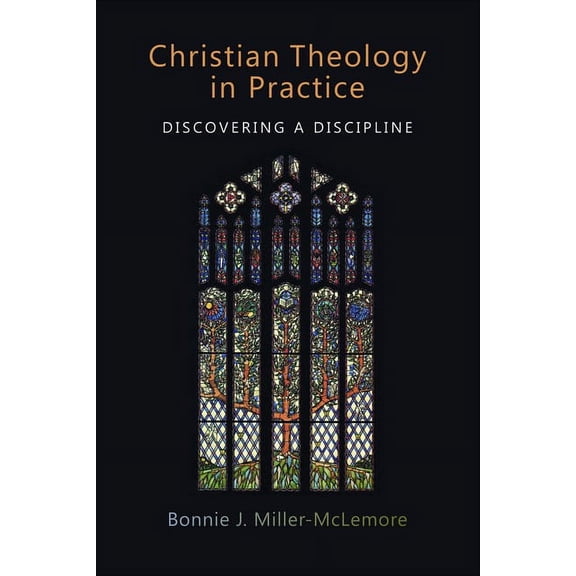 Christian Theology in Practice : Discovering a Discipline (Paperback)