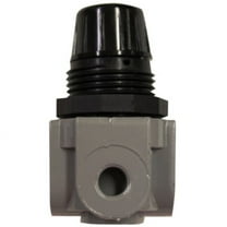 Milton 1/4" NPT Mini Heavy Duty Regulator