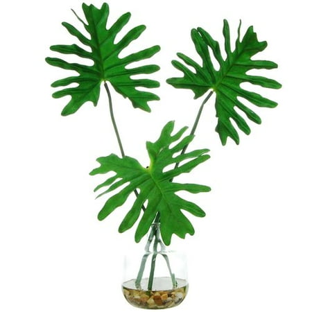 - Bay Isle Home Tropical Leaves Desktop Foliage Plant in Clear Glass Vase