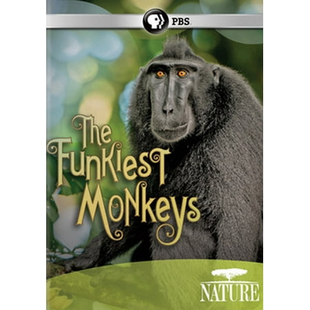 Nature: The Funkiest Monkeys (DVD)