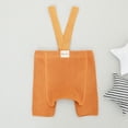 thumbnail image 3 of Aojekbee Baby Suspender Shorts, Elastic Summer Shorts Casual Overall Shorts for Girls Boys, 3 of 3