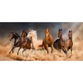 thumbnail image 2 of Cuadros Decorativos Caballos al galope pintura al óleo por números Kits cuadro pared dibujo decoración del hogar Ndcxsfigh Nuevos Originales, 2 of 9