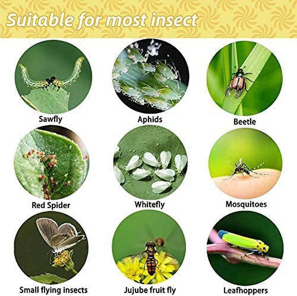 BugBane 10 Fly Strips Indoor Sticky Hanging with Pins. Fly Trap Fly Paper  Strips Indoor Hanging