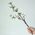 thumbnail image 2 of Silk Cherry Blossom Branches, 2PCS 19in Artificial Flowers Cherry Blossom Tree Stems, Long Stems Fake Flowers  Floral Arrangements for Home Table Wedding Japanese Decor, 2 of 4