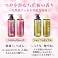 thumbnail image 2 of KRACIE ICHIKAMI The Premium Extra Damage Care Shampoo & Conditioner Treatment Set Silky Smooth 400ML + 400ML, 2 of 5