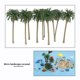 thumbnail image 3 of Modelo de construcción árbol de coco recepción en casa Mini paisaje modelo de plástico palmera accesorios de bricolaje 10 Piezas, 3 of 6