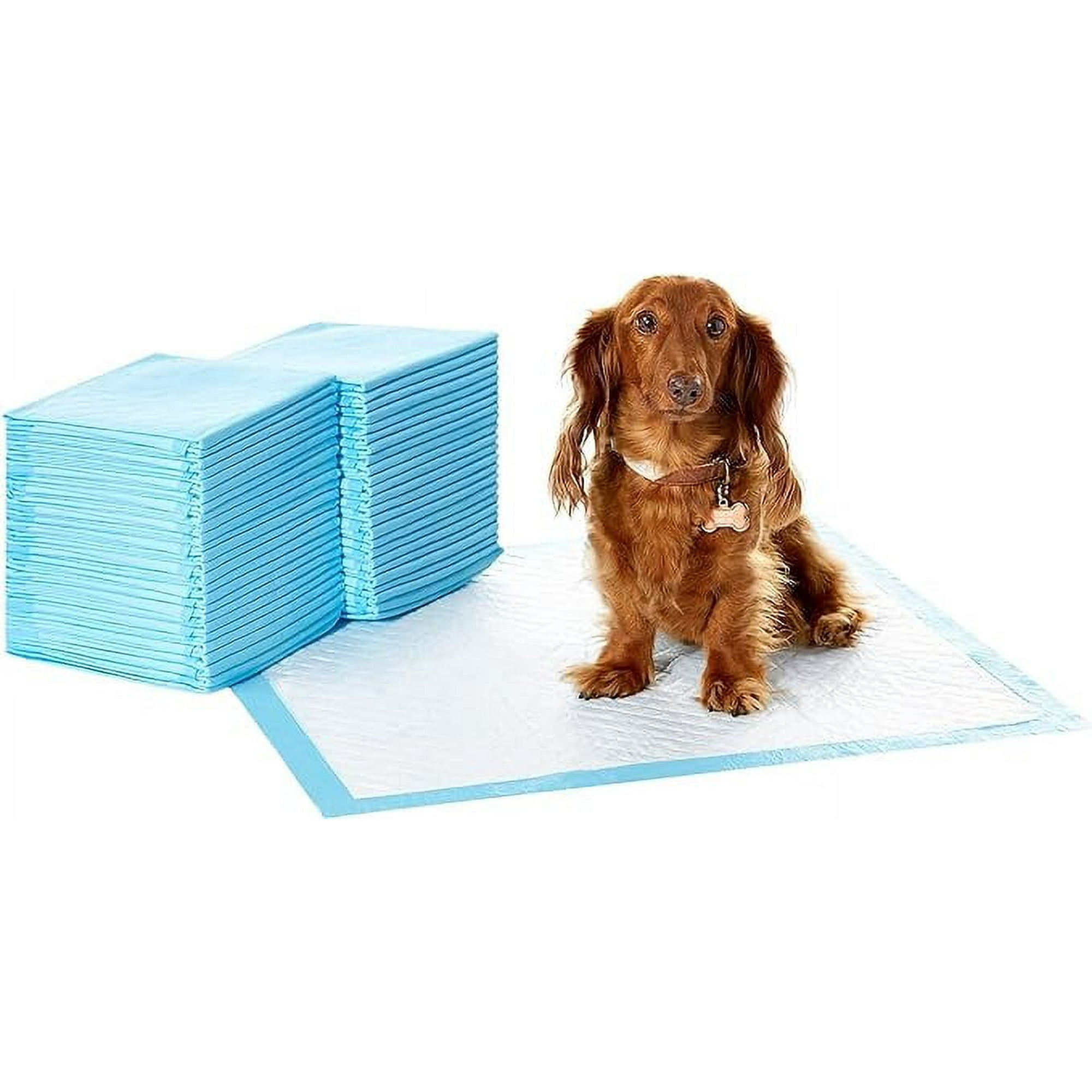 Blue pee pads 2025