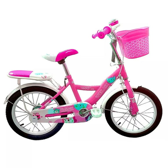 Bicicleta Infantil Entrenamieto R-20 Canasto Niñas V-brakes