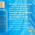 thumbnail image 3 of 2 Shampoo Anticaspa Terramar Reduce Comezón Elimina La Caspa Con Seda, Pachuli y Argán, 3 of 6