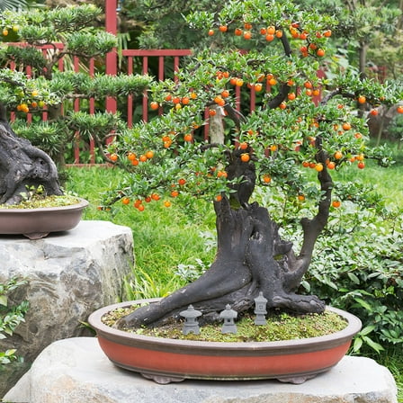 Masteelf Mini Statue for Zen Garden Exquisite Stone Design and Easy to Clean Light Grey 3 Pieces