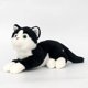 thumbnail image 3 of Juguetes de peluche de gato de imitación, animales calmantes para niños, muñecas de trapo, muñecas de gato, 3 of 4