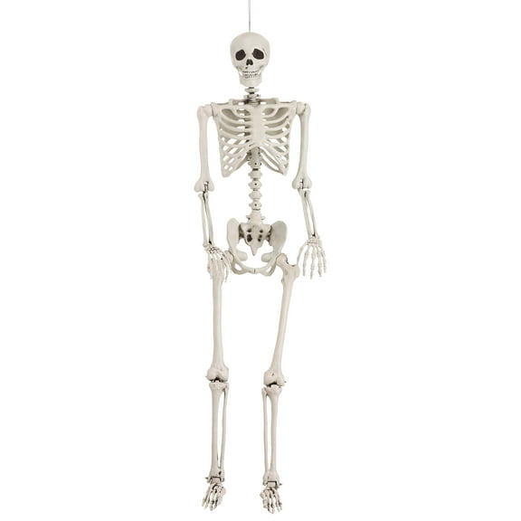 5 Ft Posable Skeleton Prop
