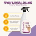 thumbnail image 2 of Health Extension Stain and Odor Remover (32oz) | Blend of Natural Enzymes and Cleaning Agents | Safe For People & Pets | 100% Natural Animal Cleaner, 2 of 7
