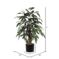 thumbnail image 4 of Vickerman 4' Artificial Mango Bush, Black Plastic Pot., 4 of 6