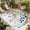 Blue White, variant on Orange Blue Botanical Outdoor Rug for Patio/Deck/Porch, Non-Slip Large Area Rug 6 x 9 Ft, Weeping Fall Eucalyptus Leaves Rustic Indoor Outdoor Rugs Washable Area Rugs, Camping Rug Carpet Runner
