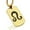 Gold, variant on Stainless Steel Leo Zodiac Sign (Lion) Dog Tag Pendant Necklace