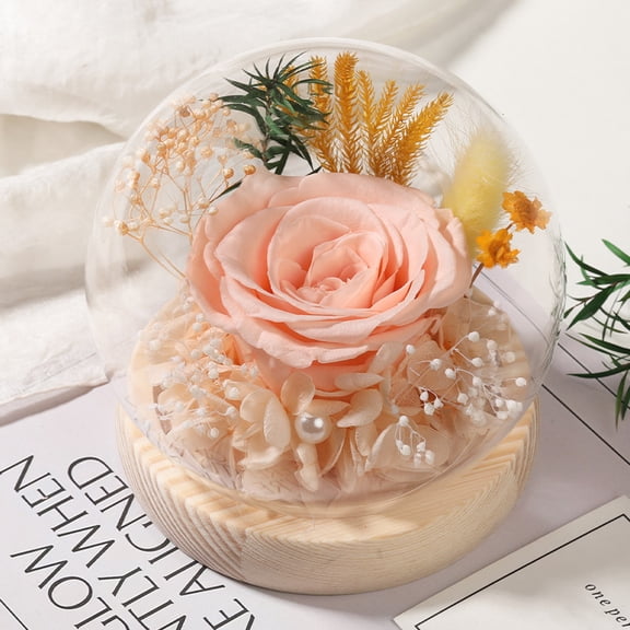 DFS Preserved  Rose in Glass Dome, Forever Eternal Rose Flowers Bouquet, Long-Lasting Real Flowers for Her, Women, Mom, Wife, Birthday, Anniversary, Christmas - Champagne