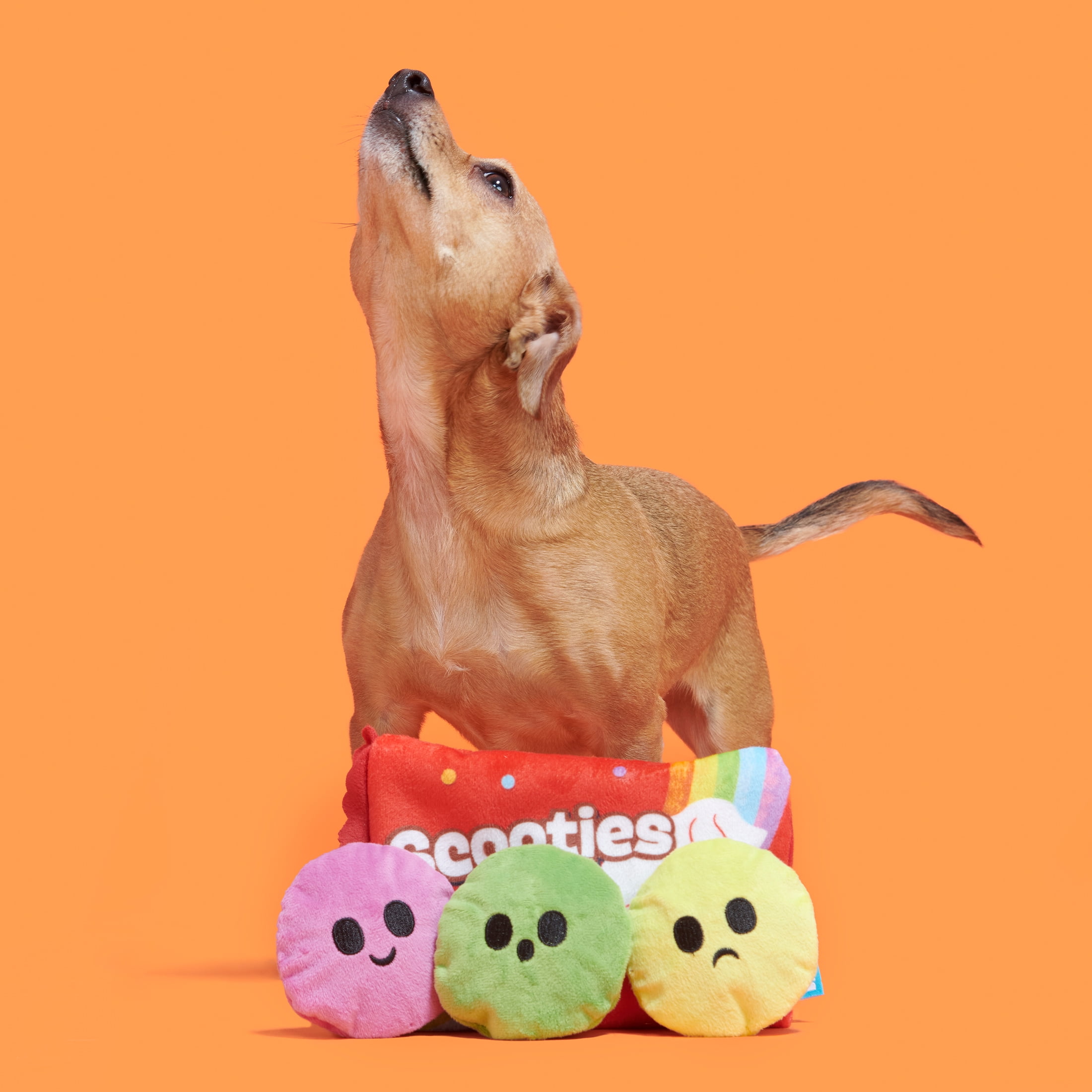 Bark Yankee Doodle Candy Dog Toy for Shredders With Bonus Spiky Squeaker  Ball