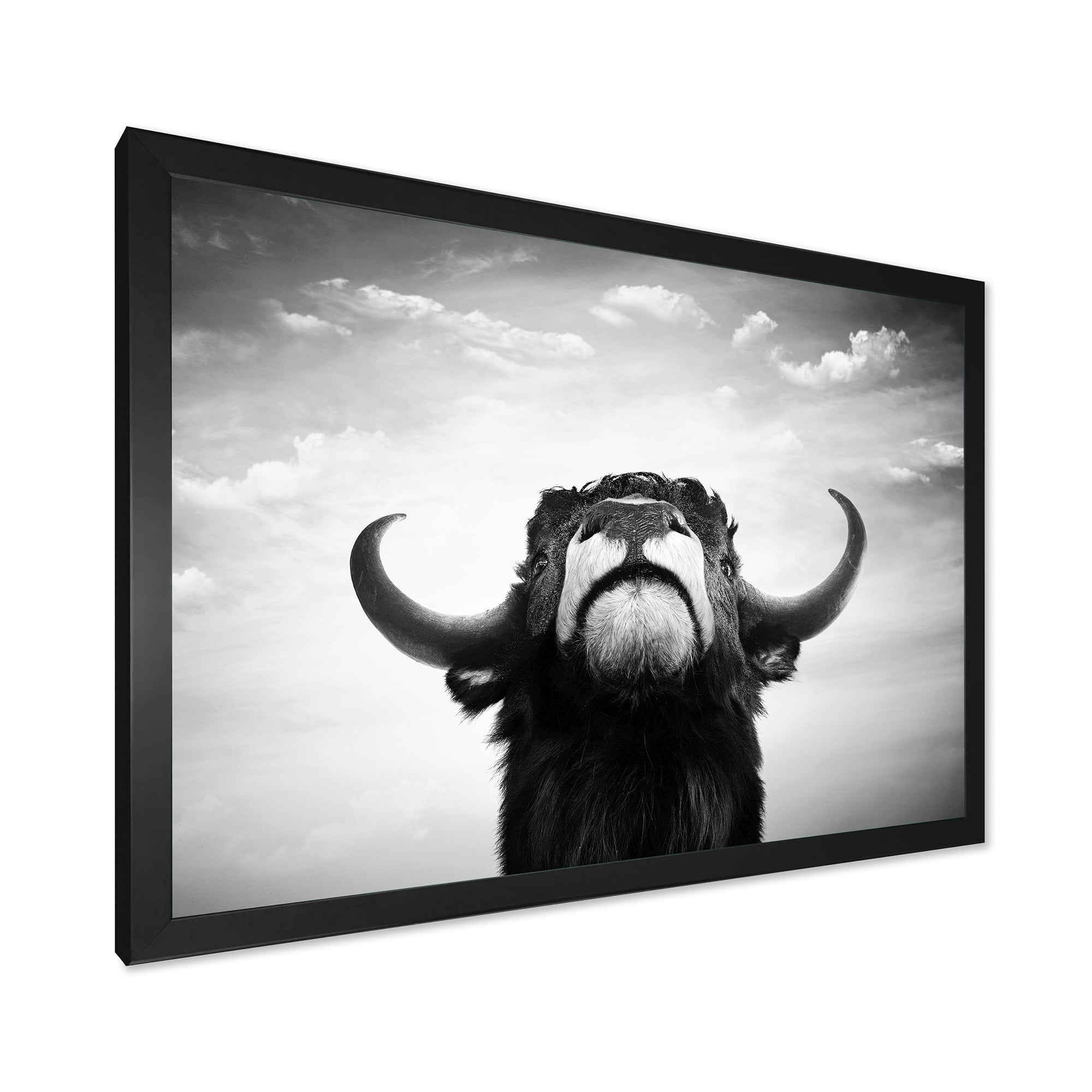 Designart 'Black and White Portrait Of A Spanish Bull I' Farmhouse Framed Art Print