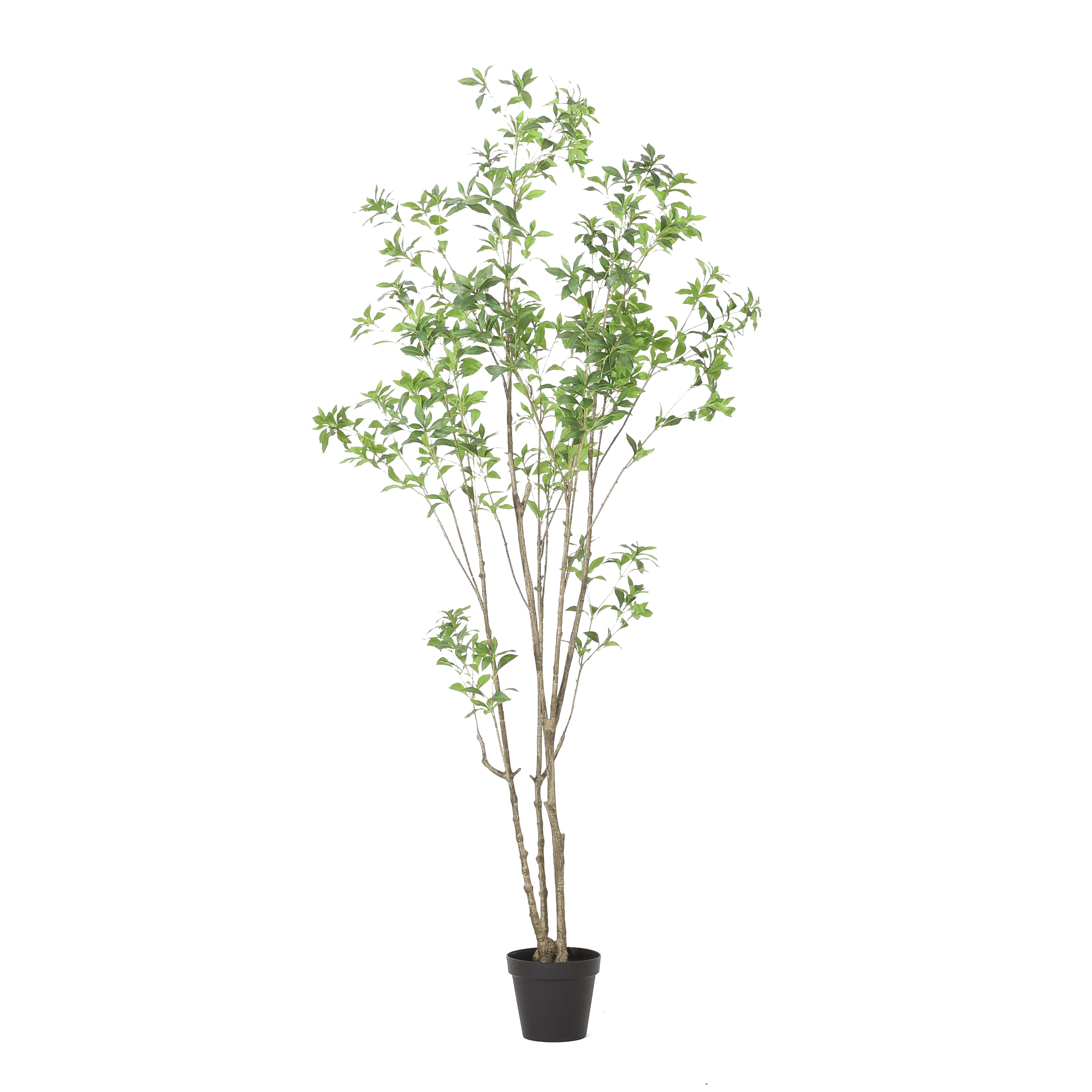 Euroco 7.8FT Artificial Pieris Tree, Fake Floor Potted Olive Silk Trees with Branches,Faux Silk Plant for Home Office Living Room Decor Indoor
