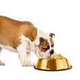 thumbnail image 3 of Platinum Pets 10081 Non-Tip Embossed Bowl Stainless Steel Dog Bowl, 24K Gold, Medium, 3 of 6