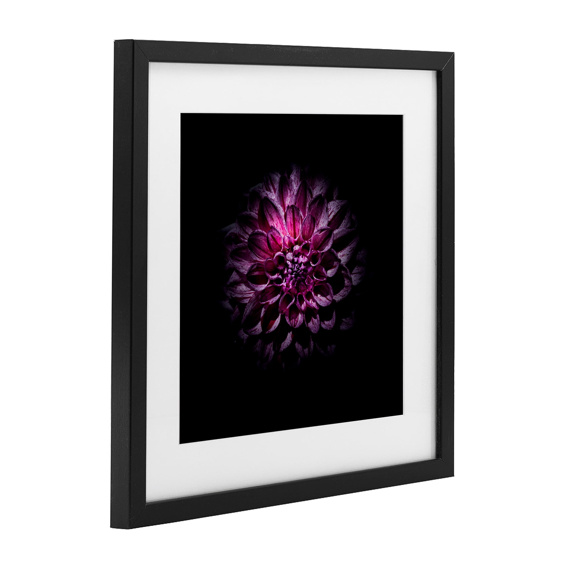 Purple Dahlia Dark Contemporary Black Framed Print Under Glass, design by Brian Carson Photography