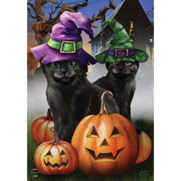 Briarwood Lane Garden Flag 12x18 For Outdoor Spooky Kittens Halloween For Halloween Garden Flag Flags For Outside