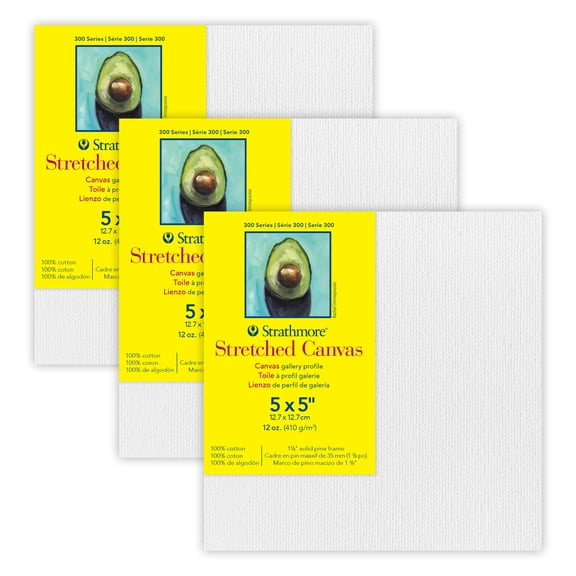 Strathmore 300 Series Gallery Stretched Canvas, 5x5 inch, 3 Count
