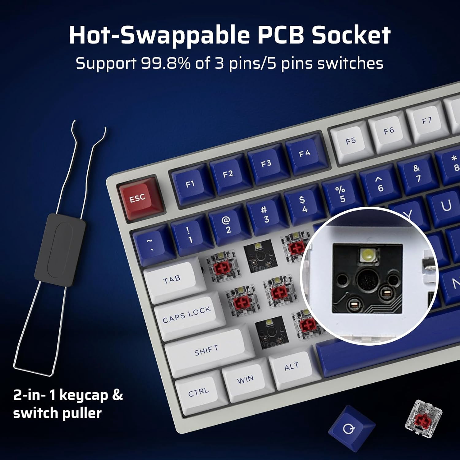 LTC Nimbleback NB831 Wireless 75% 3-Mode BT5.0/2.4Ghz/USB-C Wired Hot Swappable Mechanical Keyboard, 81-Keys RGB Compact Gaming Keyboard with Knob, Sound Absorbing Pads, PBT Keycaps, Pro Driver