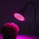 thumbnail image 1 of Bombilla De Luz De Planta 200LED Luz De Planta Consumo De Energía Para Plantar Flores Plántulas De Cultivo De Tejidos Vegetales ANGGREK Otros, 1 of 8
