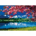 thumbnail image 1 of Pintura de diamante (DE1136) 5D DIY Flor Paisaje Punto de cruz Mosaico Kit Decoración para el hogar 45x60cm Hugtrwg Para estrenar, 1 of 1