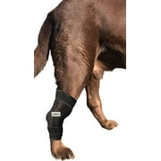 Labra Canine Dog Ice and Heat Therapy Compression Brace (Small)