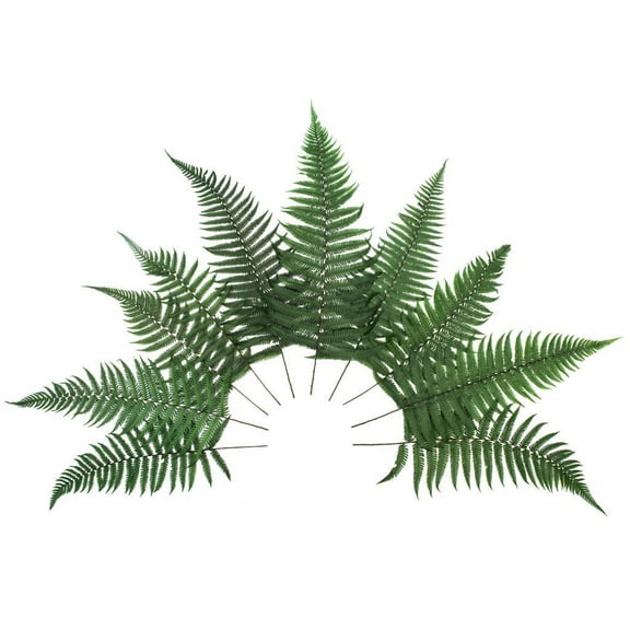 Vickerman 651858 - 16-18" Green Parchment Fern Stem 10/Pk (H3PCH150) Dried and Preserved Foliage