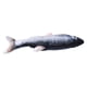 thumbnail image 4 of Pescado Realista de Flopació, Gato de Pescado Eléctrico de Gato Lavado A Mano y No Tóxico Con Cable de Carga USB de Hierba Gatera para Hoom para Interiores al Aire Libre, 4 of 7