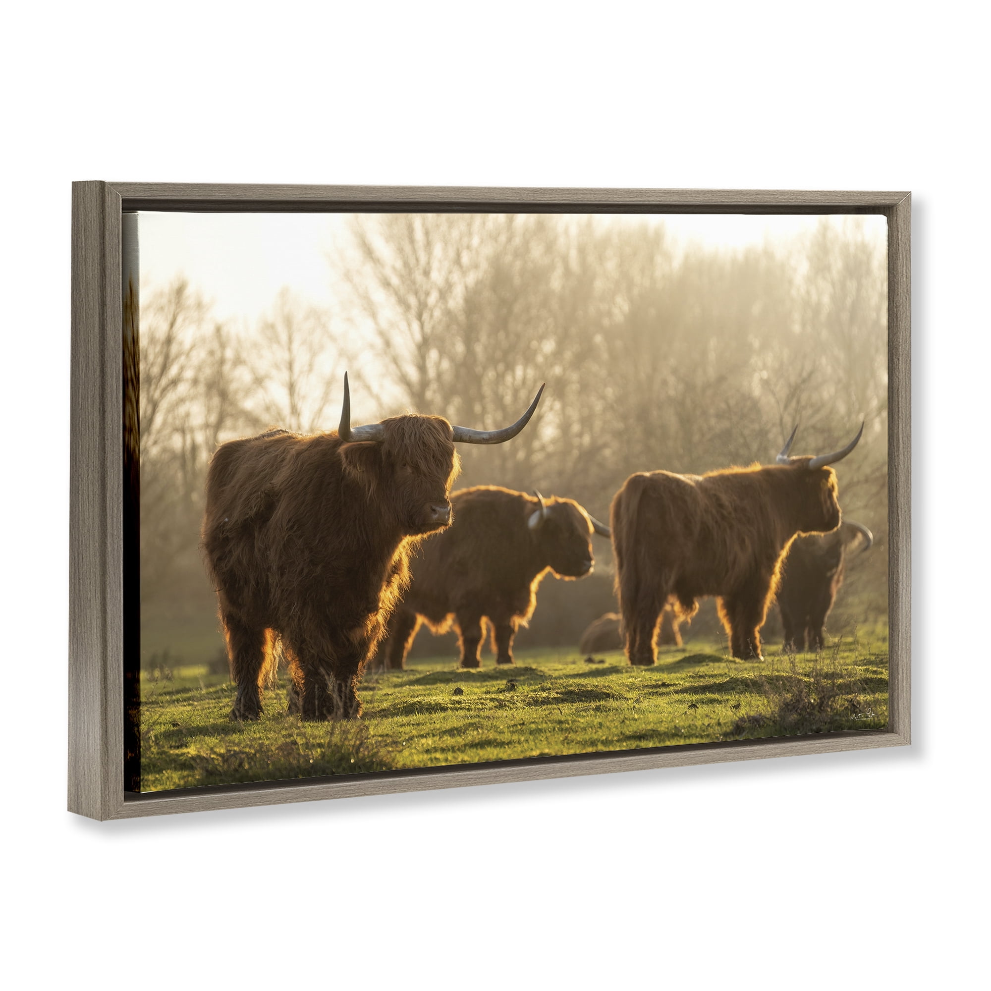 Stupell Industries Longhorns in Foggy Pasture Animals & Insects Photography Brown Floater Framed Canvas Art Print Wall Art, 31 x 21