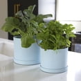 thumbnail image 2 of Bloem Mathers 8" Plastic Planter - Modern Indoor Pot with Drainage Hole and Saucer Tray, Misty Blue, 2 of 6
