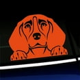 thumbnail image 1 of Peeking Beagle - Vinyl Car Decal - Choose Color - [ORANGE], 1 of 1