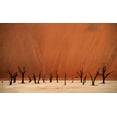 thumbnail image 2 of Hawerkamp, Hans-Wolfgang 32x21 White Modern Wood Framed Museum Art Print Titled - Deadvlei, 2 of 4
