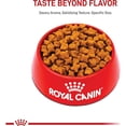 thumbnail image 2 of Royal Canin Breed Health Nutrition German Shepherd 5+ Mature Dry Dog Food 28 lbs., 2 of 2