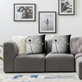thumbnail image 2 of Dandelion Throw Pillow Cushion Cover, Monochrome Dandelions Blowing in The Wind Fluffy Flower Romance Theme, Decorative Square Accent Pillow Case White Charcoal Grey Set of 2, 2 of 7