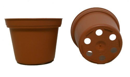 Terracotta 100 NEW 6 Inch TEKU Plastic Nursery Pots Standard ~ Pots ARE 6 Inch Round At the Top and 5 Inch Deep Color 
